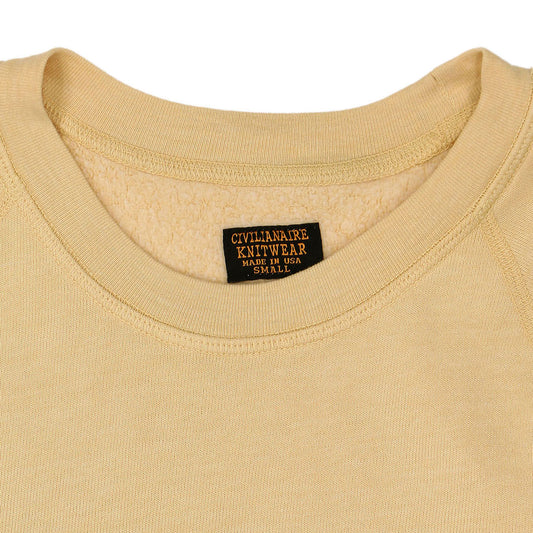 Short Sleeve Raglan Triblend Crewneck - Sateen Canary
